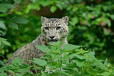 悬疑像素点击游戏《Three Minutes to Eight》（八点前的三分钟）将于今年推出